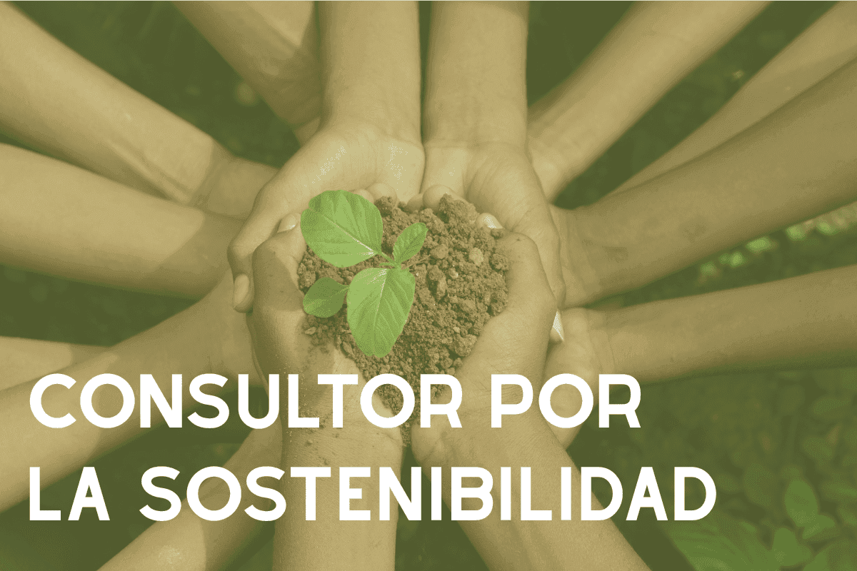 Convocatoria Consultores para la sostenibilidad Causa Natura
