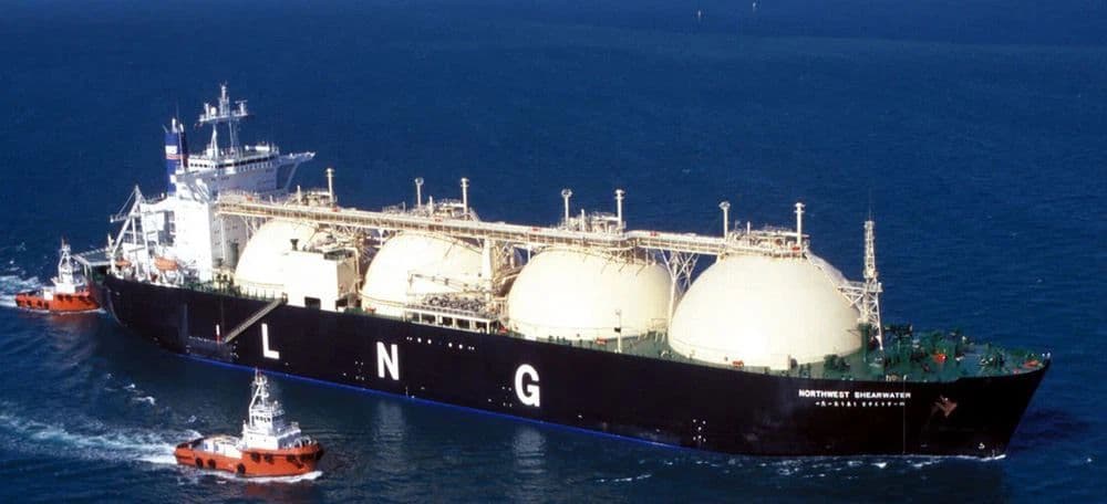 Especies invasoras, otra de las amenazas de los buques de gas en el Golfo de California