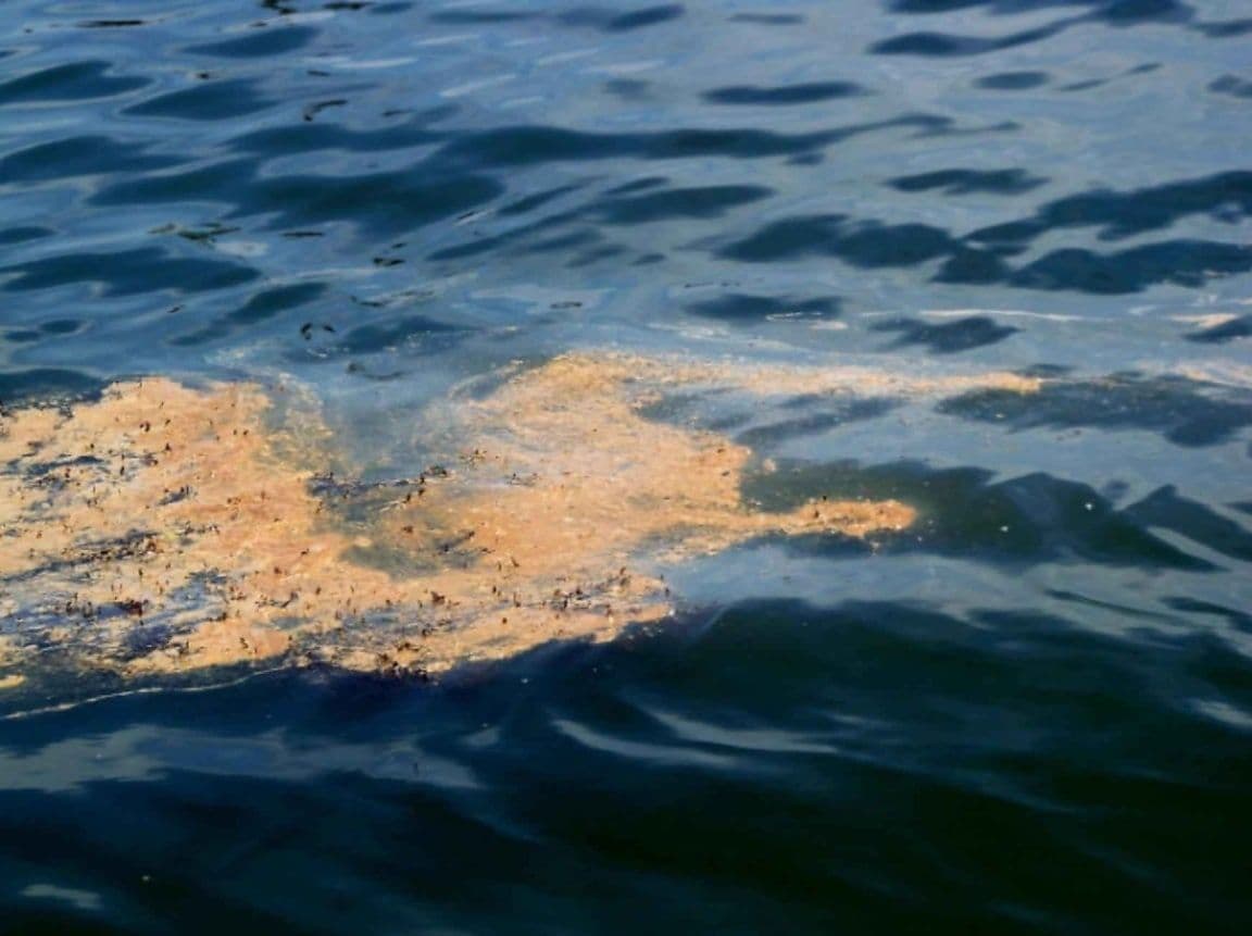 Fuga en sonda provoca nuevo derrame de petróleo en el Golfo de México