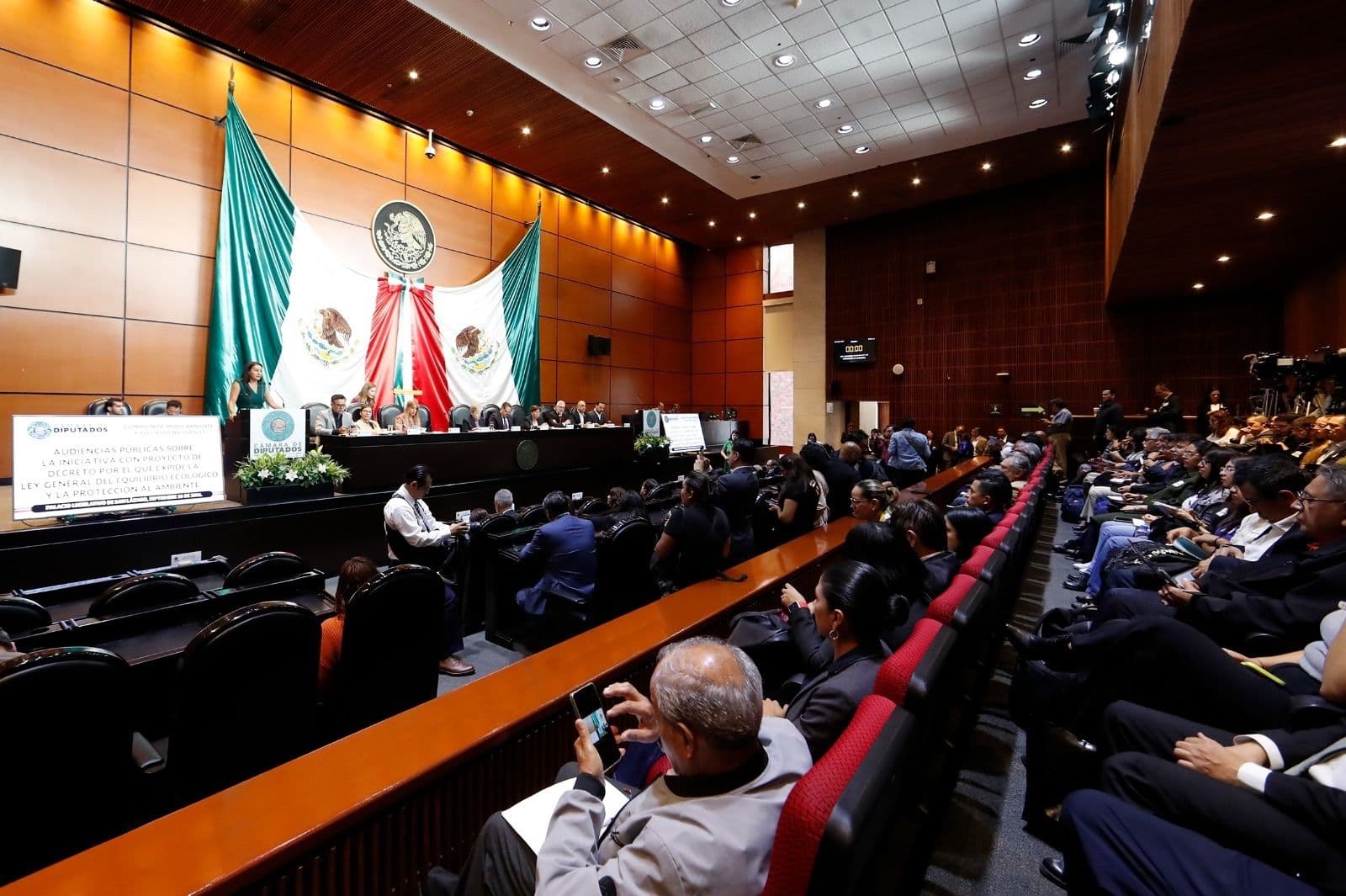 “Dan más dientes a la PROFEPA, pero sin más recursos”: piden presupuesto para nueva ley ambiental durante audiencias