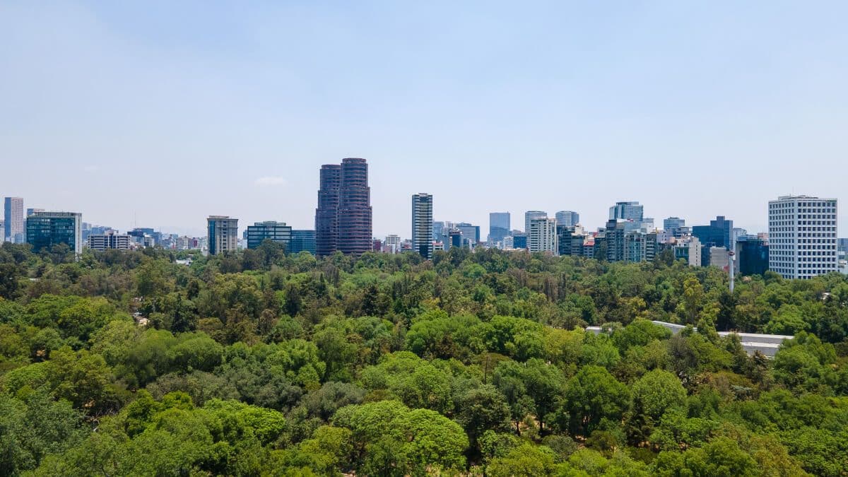 El Ejército desiste de construir un museo en Chapultepec tras rechazo vecinal y de la jefa de gobierno