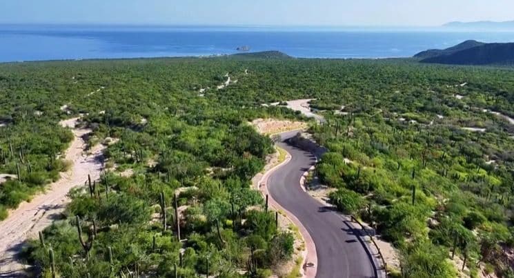 Retiran trámite forestal de El Saltito, pero Manifestación de Impacto Ambiental sigue vigente