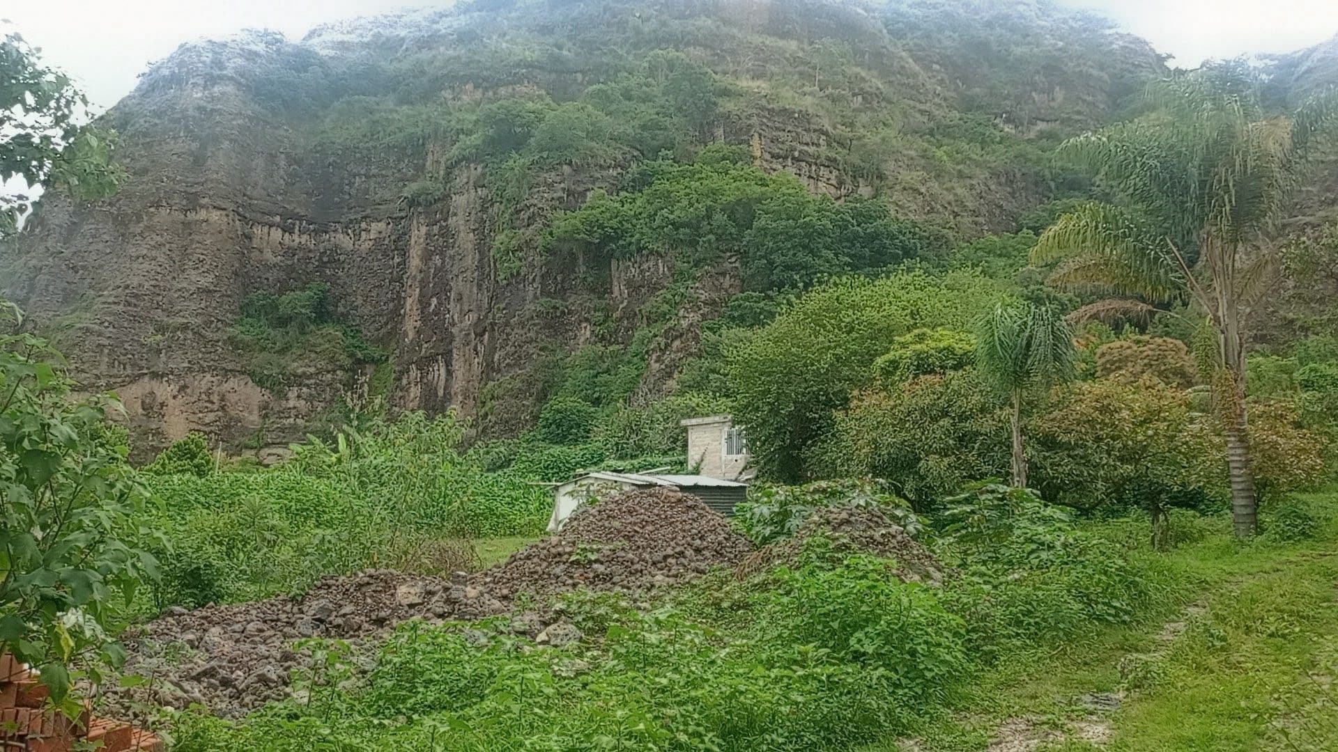 Venta ilegal de terrenos amenaza área natural protegida en Tepoztlán